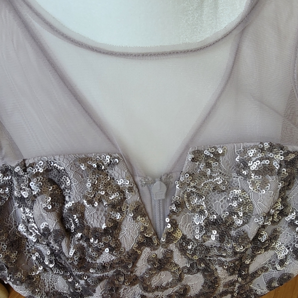 BCBG MaxAzria Gray Lace and Sequin Dress Size 0 - Picture 10 of 10